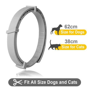 Flea And Tick Collar